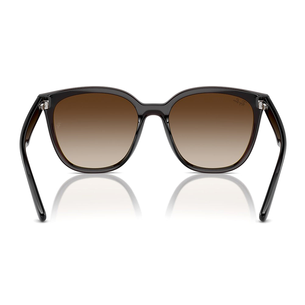 Ray-Ban - RB4423D 714/13 66｜サングラス | アウトドアショップOrange