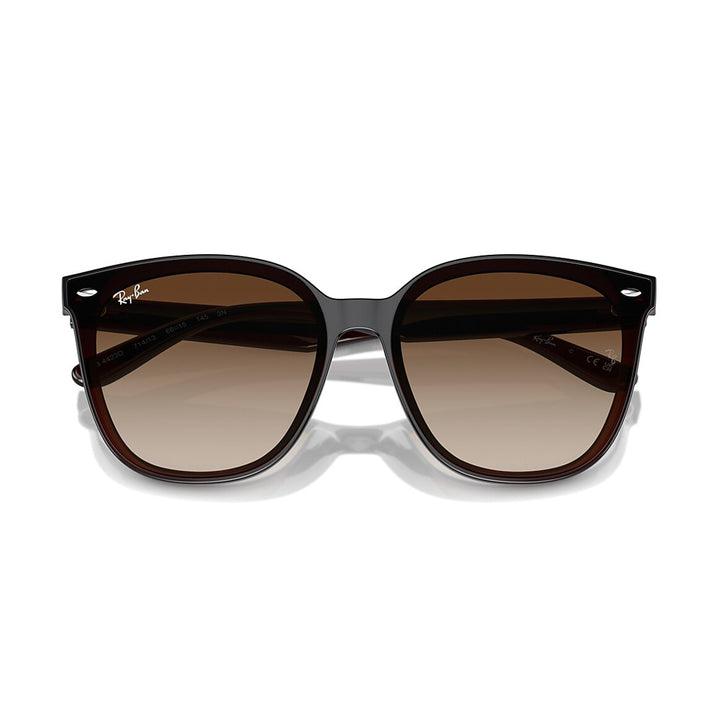 Ray-Ban - RB4423D 714/13 66｜サングラス | アウトドアショップOrange