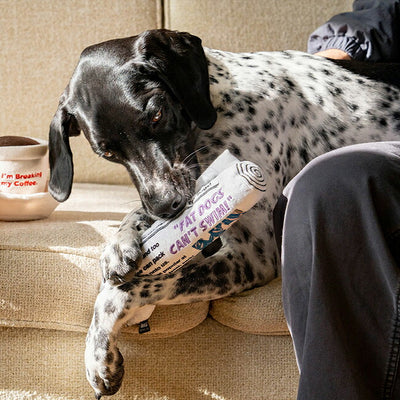 D.WAG ディーワグ PLUSH TOY NEWSPAPER プラッシュトイニュースペーパー Y-0837
