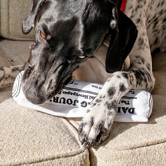 D.WAG ディーワグ PLUSH TOY NEWSPAPER プラッシュトイニュースペーパー Y-0837