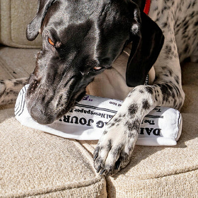 D.WAG ディーワグ PLUSH TOY NEWSPAPER プラッシュトイニュースペーパー Y-0837