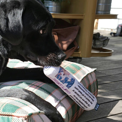 D.WAG ディーワグ PLUSH TOY NEWSPAPER プラッシュトイニュースペーパー Y-0837