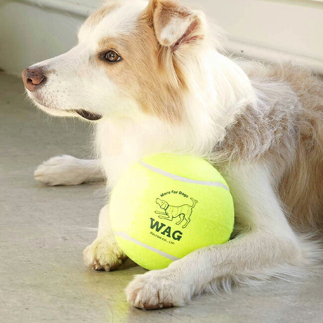 D.WAG ディーワグ TENNIS BALL XXL テニスボールXXL Y-0846XXL