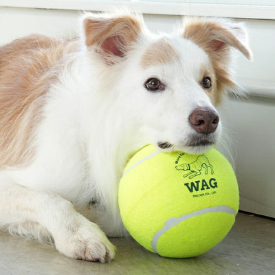 D.WAG ディーワグ TENNIS BALL XXL テニスボールXXL Y-0846XXL