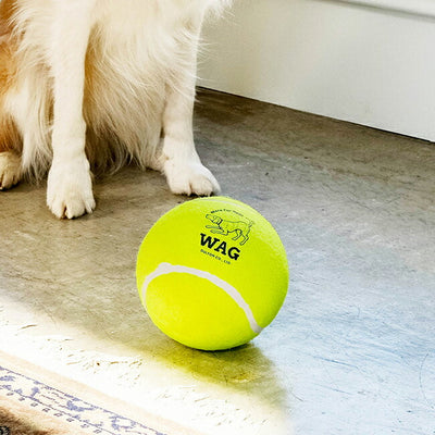 D.WAG ディーワグ TENNIS BALL XXL テニスボールXXL Y-0846XXL