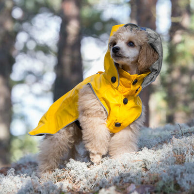 rukka pets ルッカペッツ STREAM RAINCOAT ストリームレインコート 60404200J