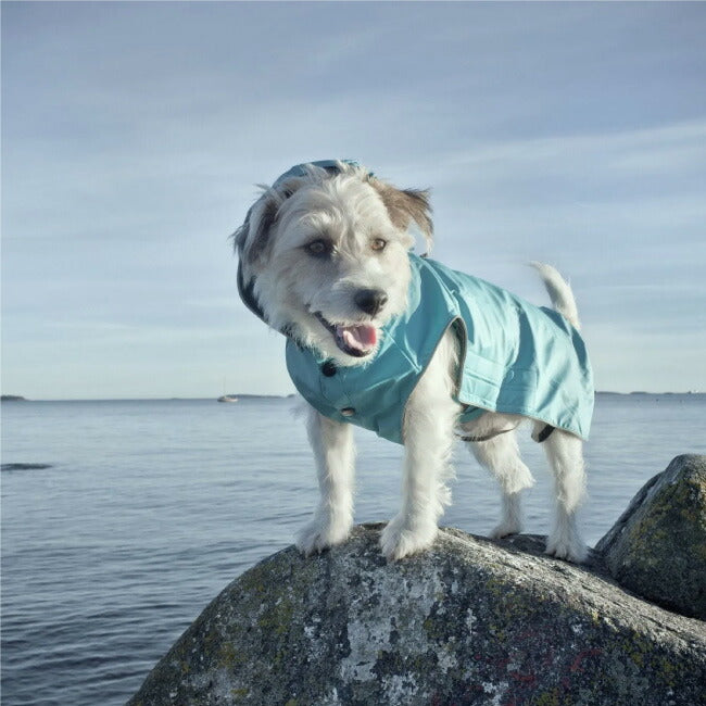 rukka pets ルッカペッツ STREAM RAINCOAT ストリームレインコート 60404200J