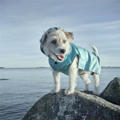 rukka pets ルッカペッツ STREAM RAINCOAT ストリームレインコート 60404200J