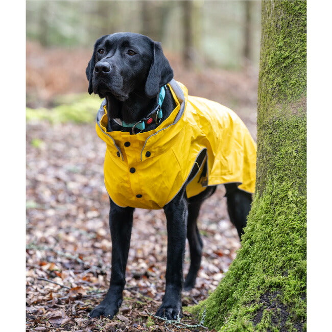 rukka pets ルッカペッツ STREAM RAINCOAT ストリームレインコート 60404200J