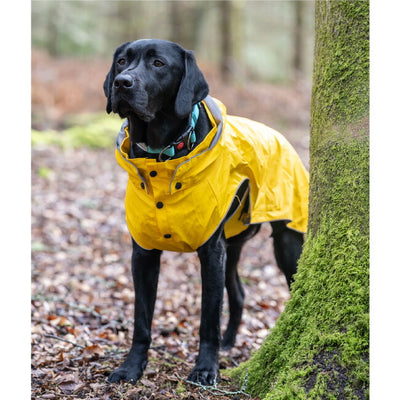 rukka pets ルッカペッツ STREAM RAINCOAT ストリームレインコート 60404200J