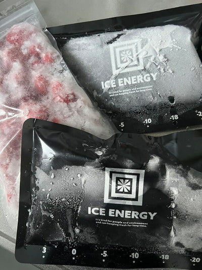 ICE ENERGY アイスエナジー アルミソフトケース -10℃ (500g) IEASG2-10-500