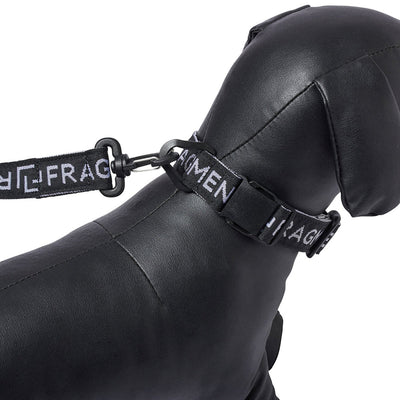 fragment design×RAMIDUS フラグメントデザイン×ラミダス RAMIDUS DOG COLLAR ラミダスドッグカラー