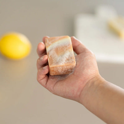 サヴォニエール ナチュラルオーガニック石けん 100g