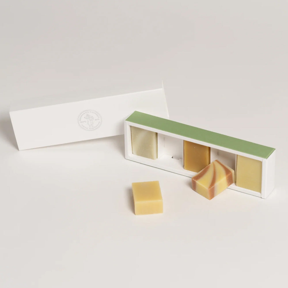 サヴォニエール サンヴィクトワール 20g石けん 5個入