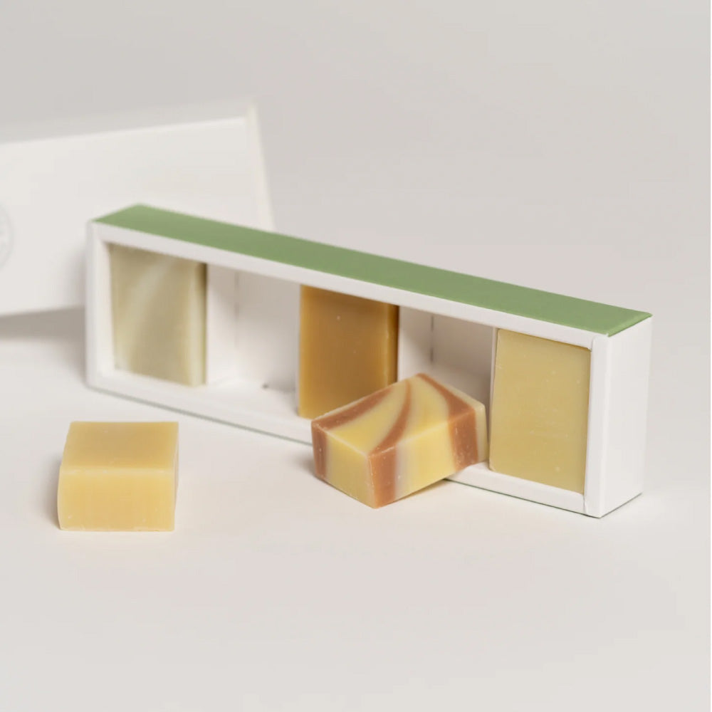 サヴォニエール サンヴィクトワール 20g石けん 5個入