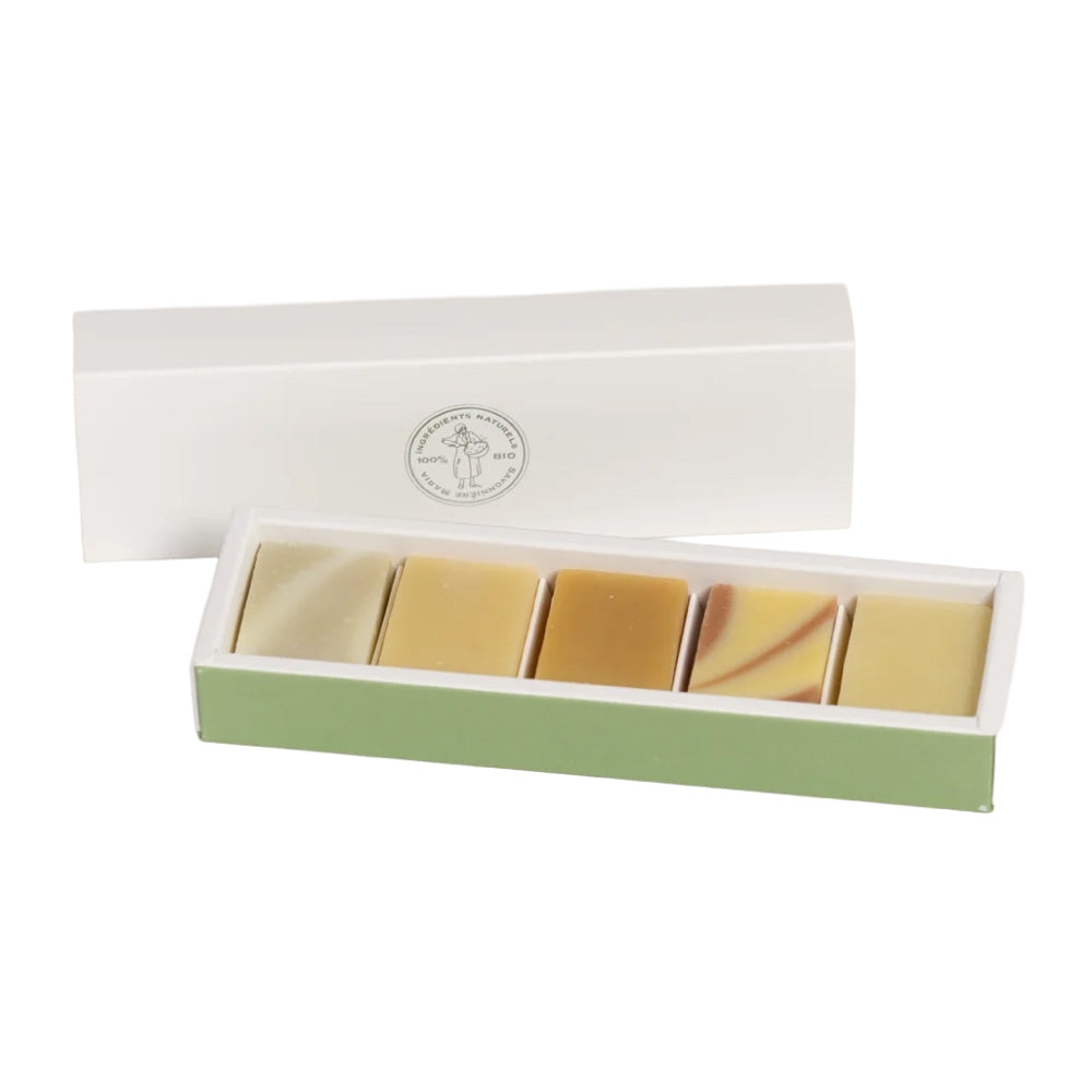 サヴォニエール サンヴィクトワール 20g石けん 5個入