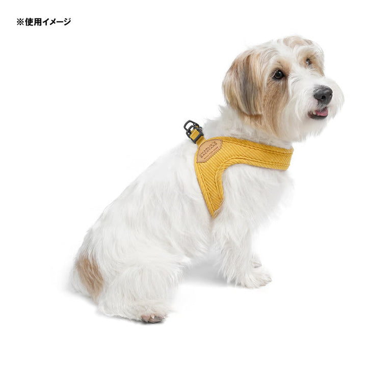 CHARLIE'S BACKYARD - ROY BUCKLE UP EASY HARNESS S/SM ロイバックル