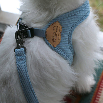 ROY BUCKLE UP EASY HARNESS S/SM ロイバックルアップイージーハーネスS/SM