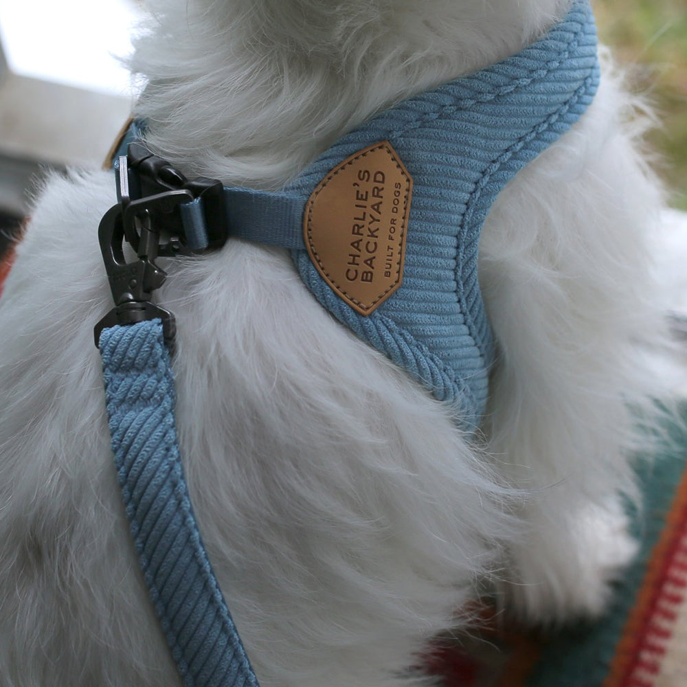 ROY BUCKLE UP EASY HARNESS M/ML ロイバックルアップイージーハーネスM/ML