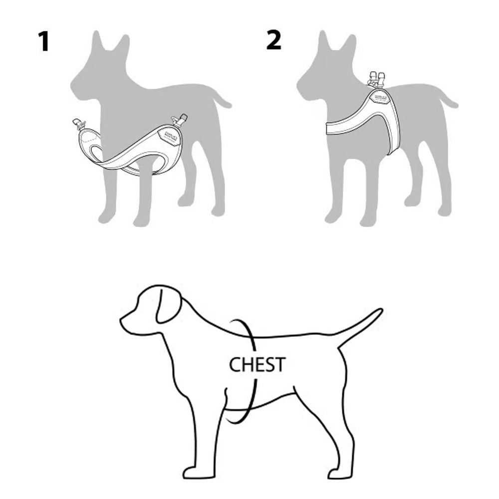 ROY BUCKLE UP EASY HARNESS M/ML ロイバックルアップイージーハーネスM/ML