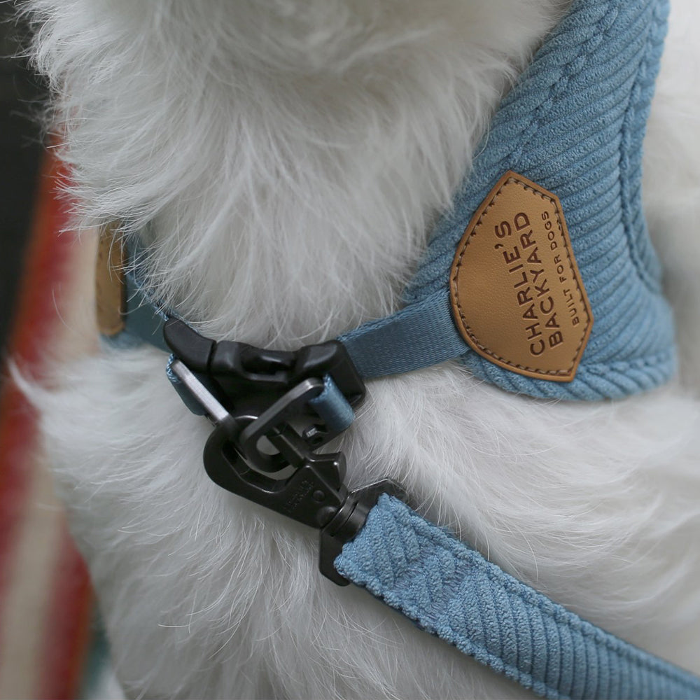 ROY BUCKLE UP EASY HARNESS L/XL ロイバックルアップイージーハーネスL/XL