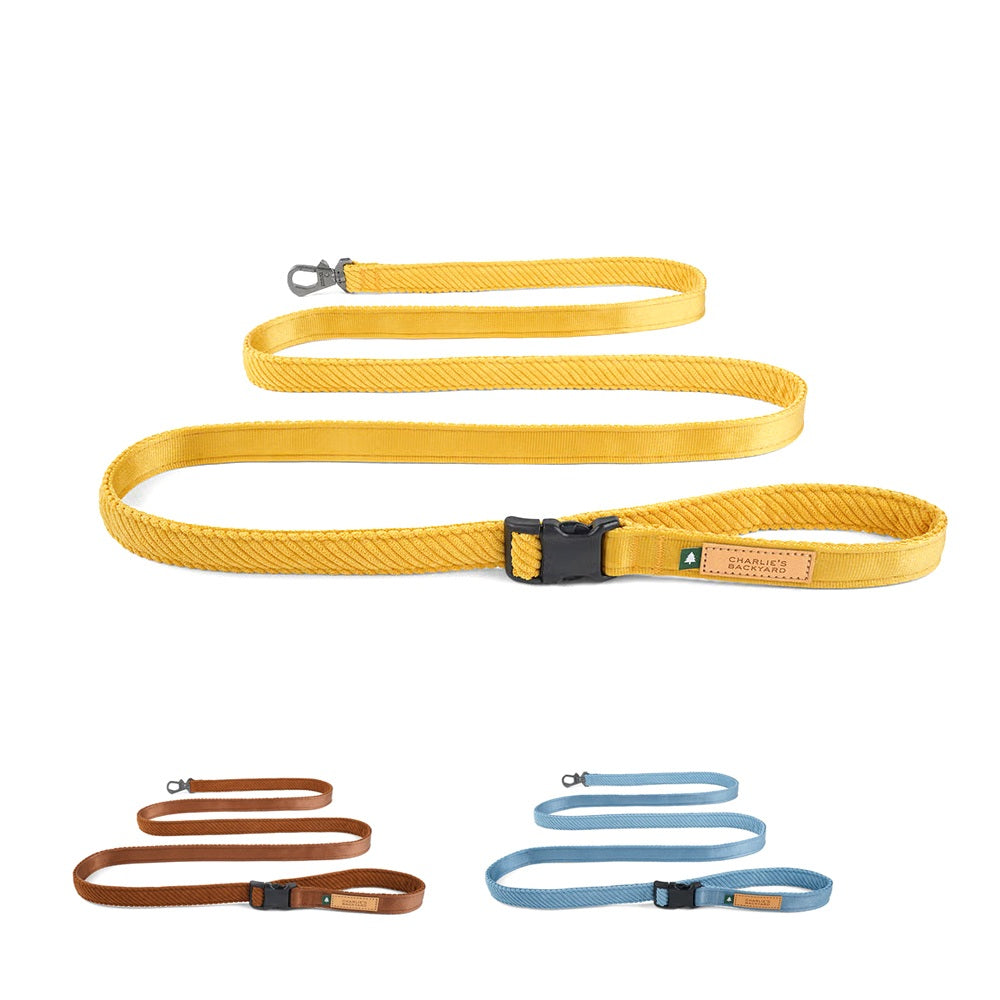 ROY LEASH ロイリーシュ