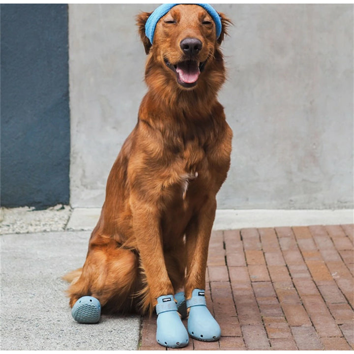 wagwear - ワグウェリーズ スポーツ | アウトドアショップOrange 通販