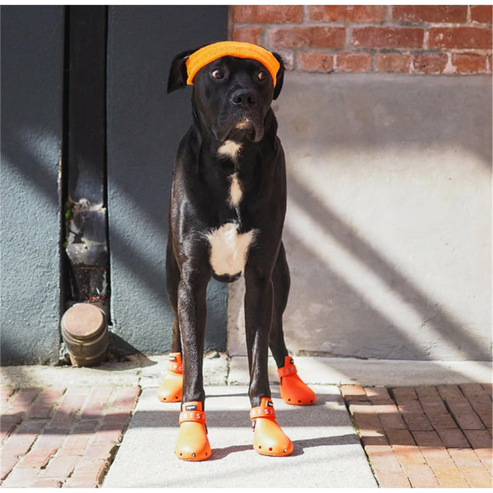 wagwear 犬　靴 wagwear - ワグウェリーズ スポーツ | アウトドアショップOrange 通販