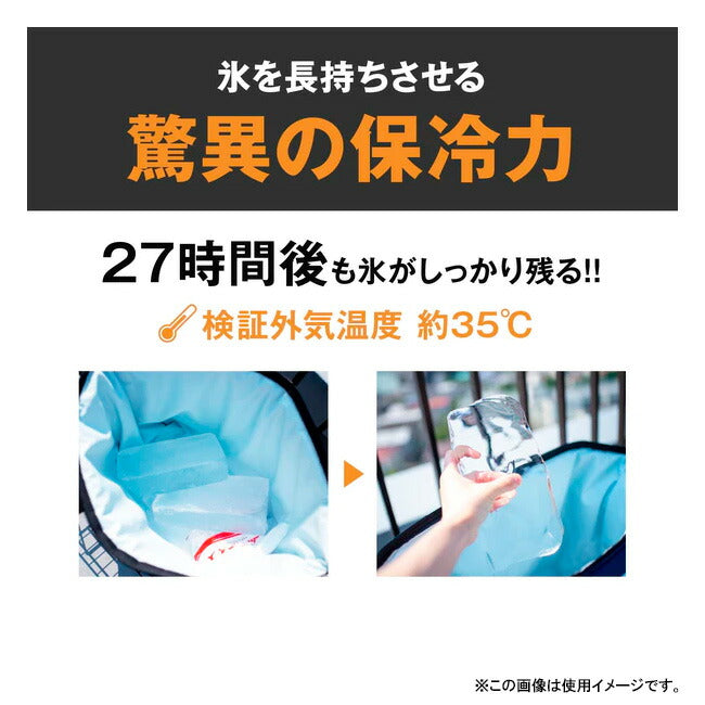 AO Coolers エーオークーラーズ 24パックキャンバスソフトクーラー AO24BK/CH/NB/RD/OR/TA/OL/CAMO/CDTN/AGTN/ABTN