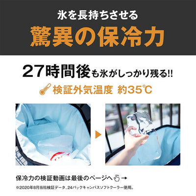 AO Coolers エーオークーラーズ 12パック カーボンソフトクーラー Black AOCR12