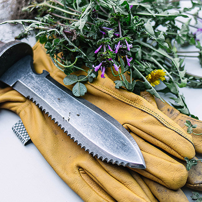 Barebones Living ベアボーンズリビング Classic Work Glove クラシックワークグローブ 20232019