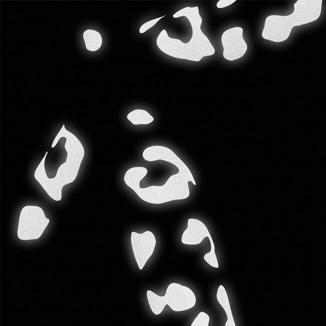 BOOKMAN ブックマン Reflective Stickers Leopard Print リフレクティブステッカー(豹柄) BM-347/348/349