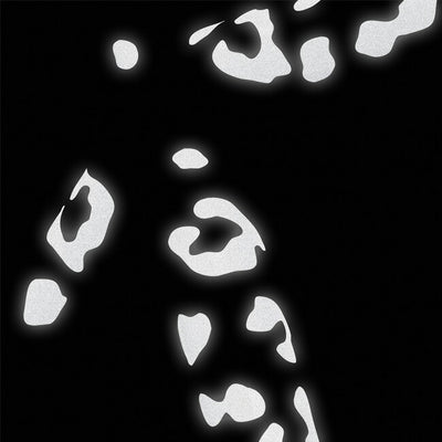 BOOKMAN ブックマン Reflective Stickers Leopard Print リフレクティブステッカー(豹柄) BM-347/348/349