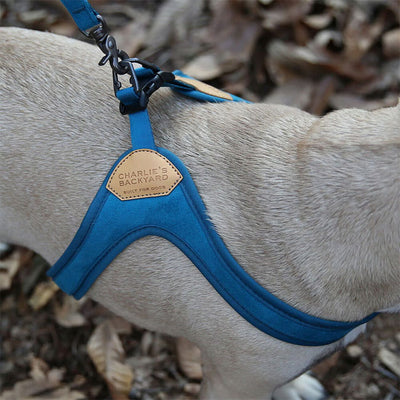 CHARLIE’S BACKYARD チャーリーズバックヤード BUCKLE UP EASY HARNESS M バックルアップイージーハーネスM