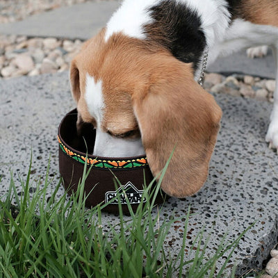 CHARLIE’S BACKYARD チャーリーズバックヤード OUTDOOR FOOD BOWL アウトドアフードボウル 4035/4036