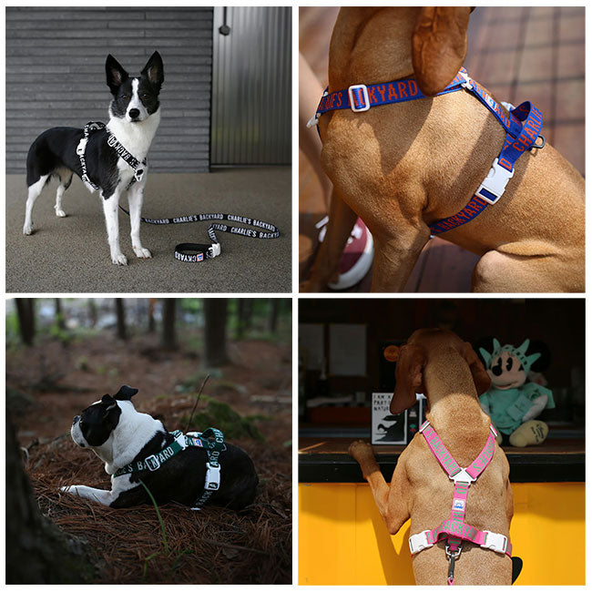 CHARLIE’S BACKYARD チャーリーズバックヤード TRIP HARNESS M トリップハーネスM