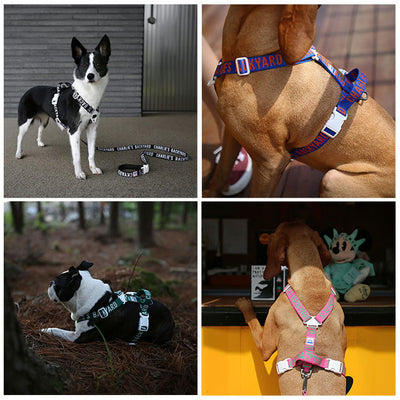 CHARLIE’S BACKYARD チャーリーズバックヤード TRIP HARNESS M トリップハーネスM
