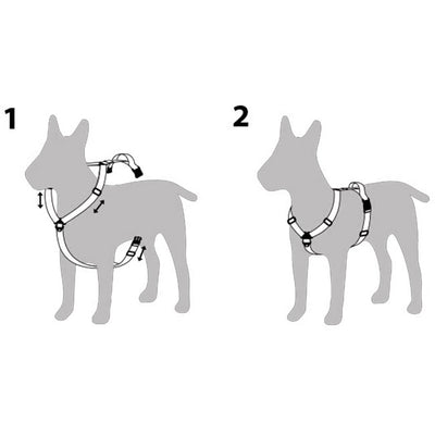 CHARLIE’S BACKYARD チャーリーズバックヤード TRIP HARNESS M トリップハーネスM