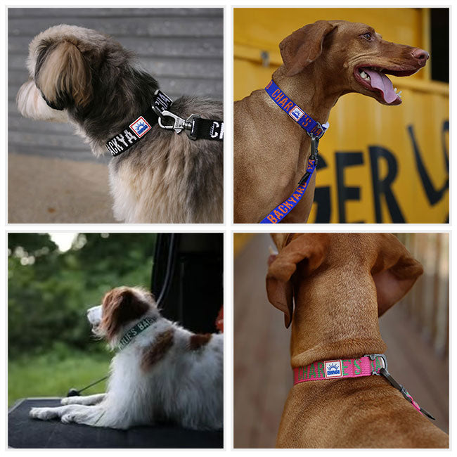 CHARLIE'S BACKYARD チャーリーズバックヤード TRIP COLLAR S トリップ