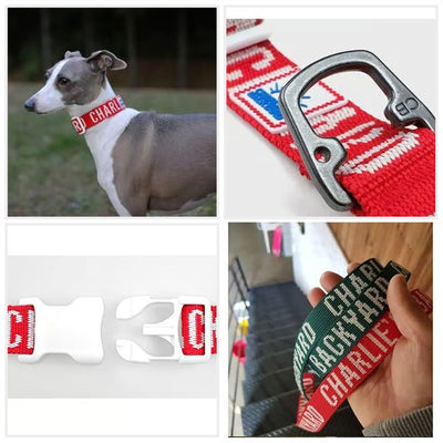 CHARLIE’S BACKYARD チャーリーズバックヤード TRIP COLLAR L トリップカラーL