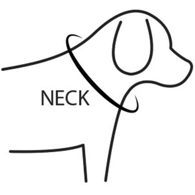 CHARLIE’S BACKYARD チャーリーズバックヤード TRIP COLLAR L トリップカラーL