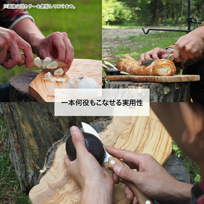 FEDECA フェデカ 折畳式料理ナイフ マルチカラー 000900