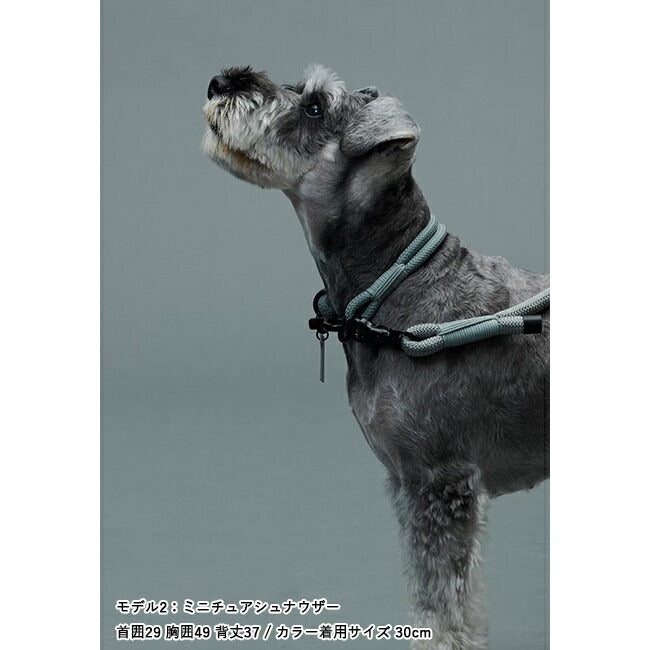Gris グリ THE COLLAR カラー 35cm DG0012