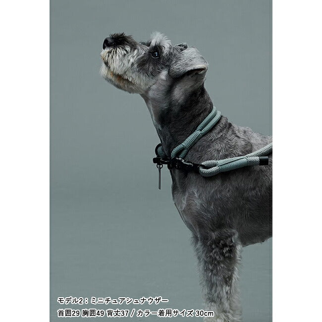 Gris グリ THE COLLAR カラー 45cm DG0014