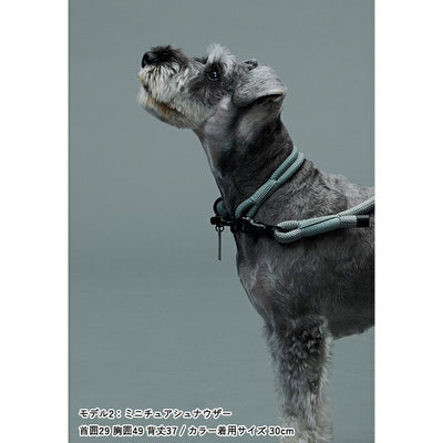 Gris グリ THE COLLAR カラー 45cm DG0014