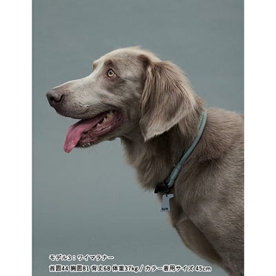 Gris グリ THE COLLAR カラー 45cm DG0014