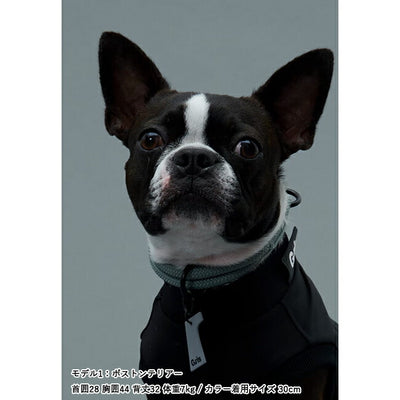 Gris グリ THE COLLAR カラー 50cm DG0015