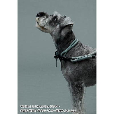 Gris グリ THE COLLAR カラー 50cm DG0015