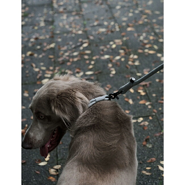 Gris グリ THE LEASH リーシュ 120cm DG0020