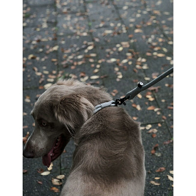 Gris グリ THE LEASH リーシュ 120cm DG0020